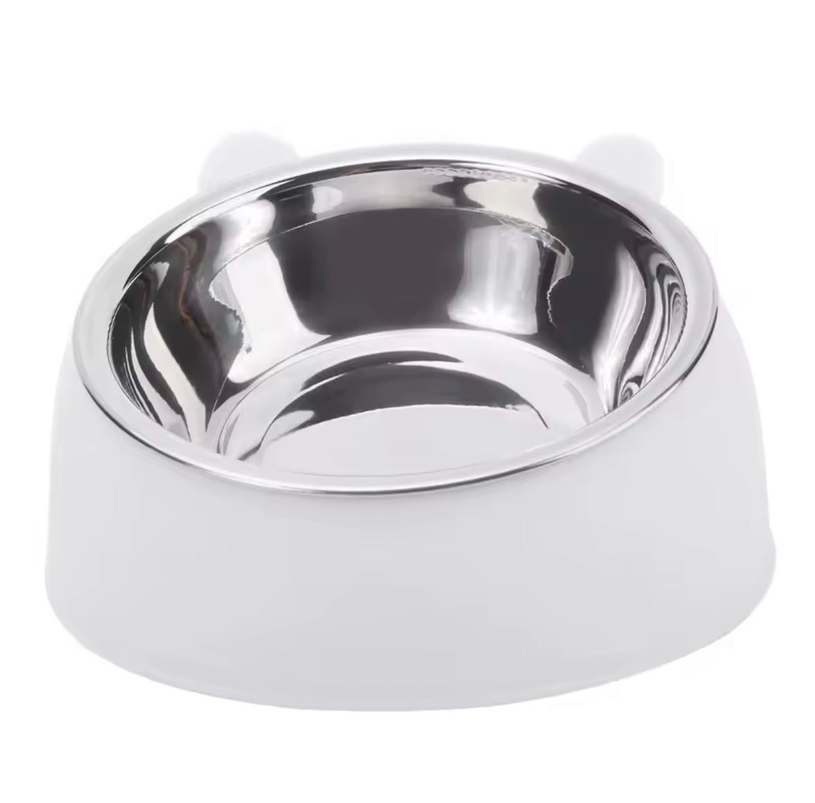 Bowl For Kittens