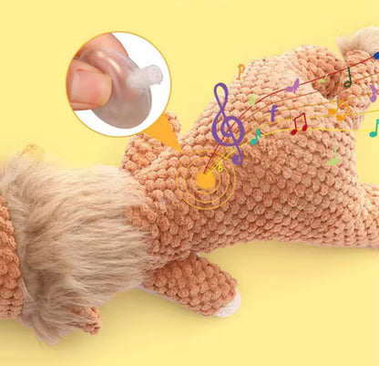 Squeaky Dog Plush Toys
