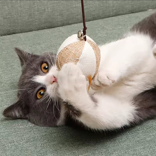 Kitten Rod Toys